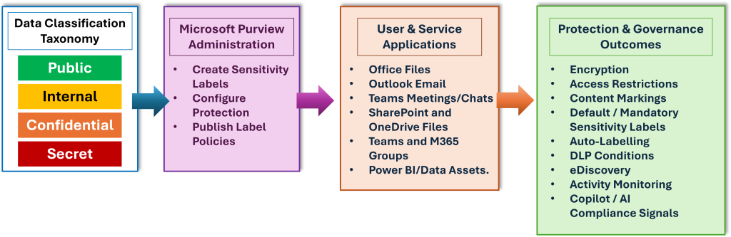 sensitivity labels connect classification taxonomy to Purview administration, Microsoft365 workloads, and downstream controls such as DLP, IRM, eDiscovery, activity monitoring, and Copilot protections.